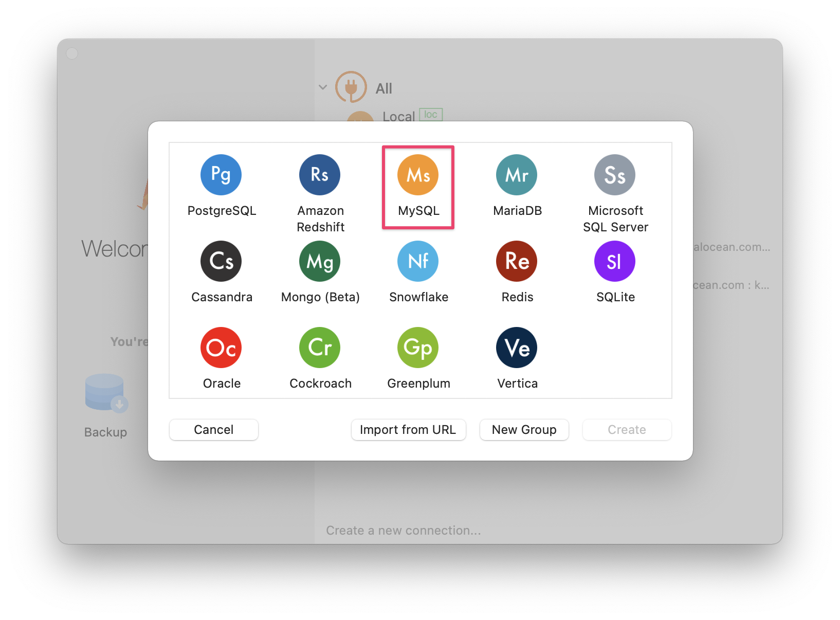 Screenshot of the modal asking you to choose which type of database you want to connect to.